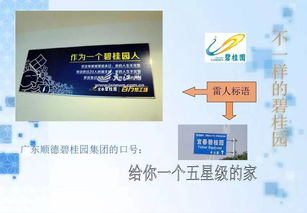 碧桂園的公關策劃 以匠心筑家，以真誠溝通